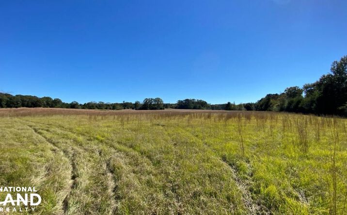 Pictures of Land property located at Blue Eye Springs Rd, Lincoln, AL 35096 for sales - image #1
