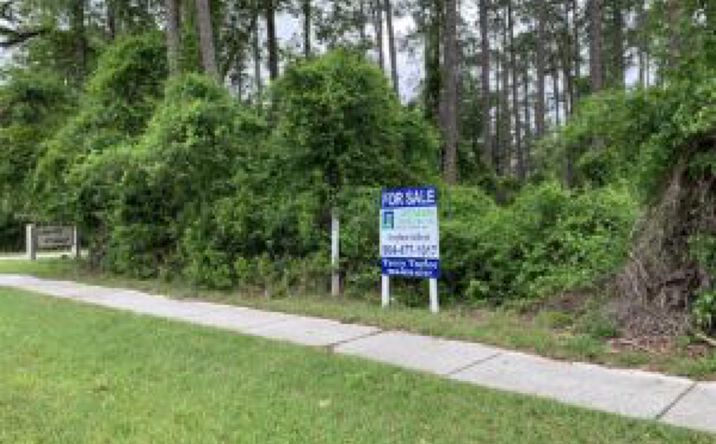 Pictures of Land property located at CR 220 & Hollars Pl, Middleburg, FL 32068 for sales - image #1