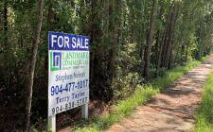 Pictures of Land property located at CR 220 Lago Del Sur Drive, Middleburg, FL 32068 for sales - image #1