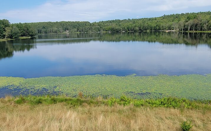 Pictures of Hospitality property located at 172 Airport Rd, Eldred, NY 12732 for sales - image #1