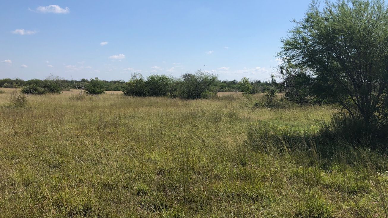 E FM 351, Beeville, TX 78102