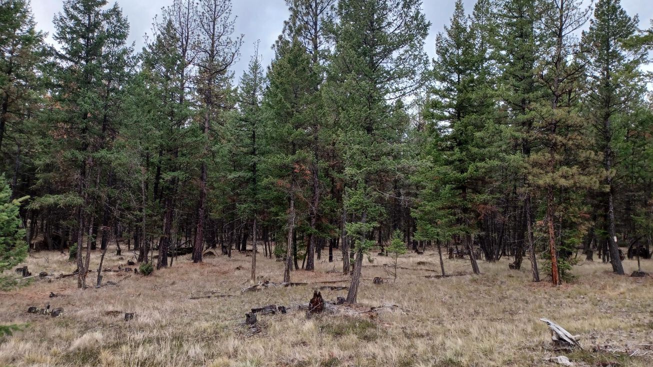 Lot 2 Brookes Drive, Rexford, MT 59930 Land for Sale Lot 2 Brookes Drive