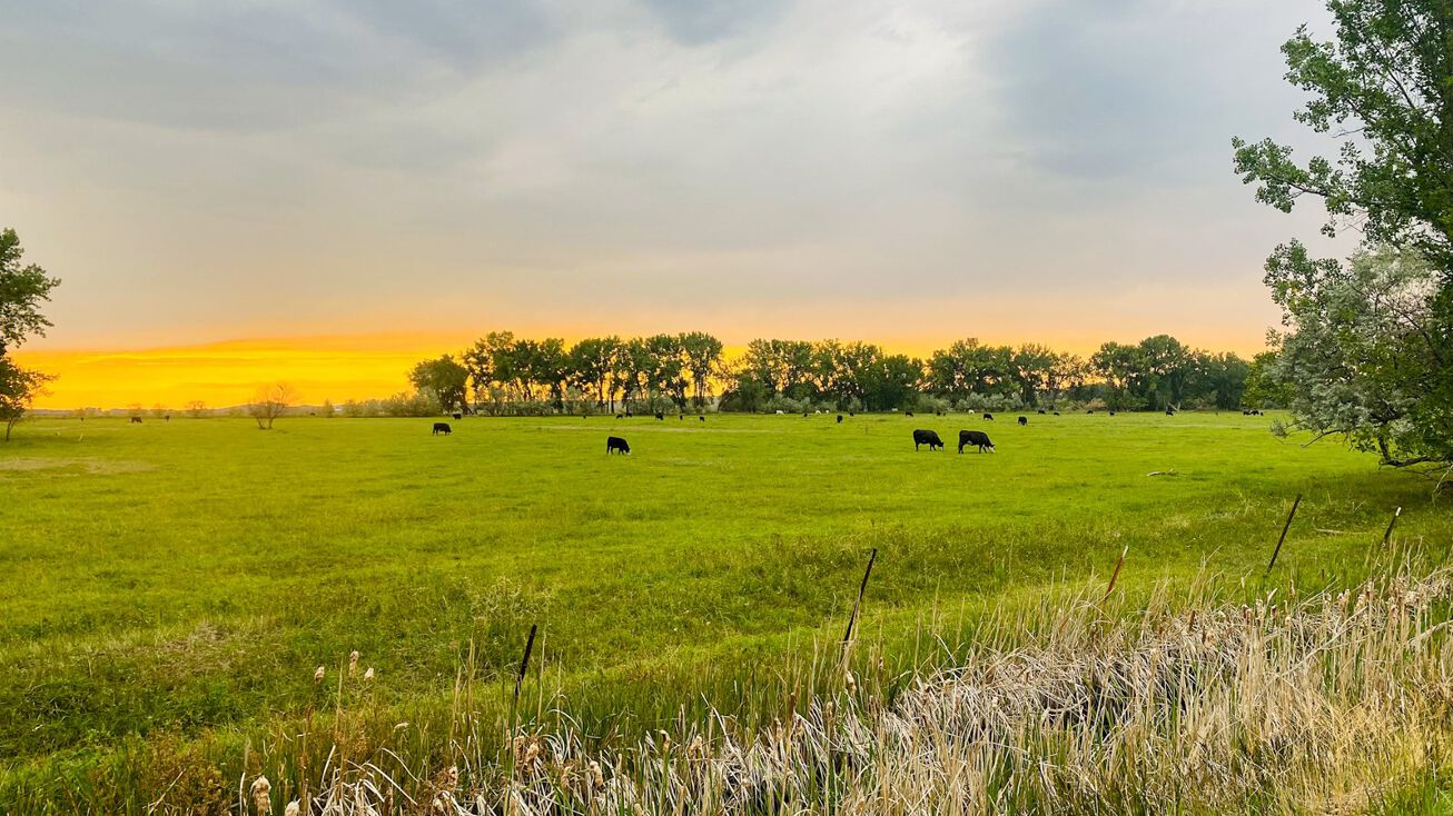 2323+/ Acres North of Dodson, Dodson, MT 59524