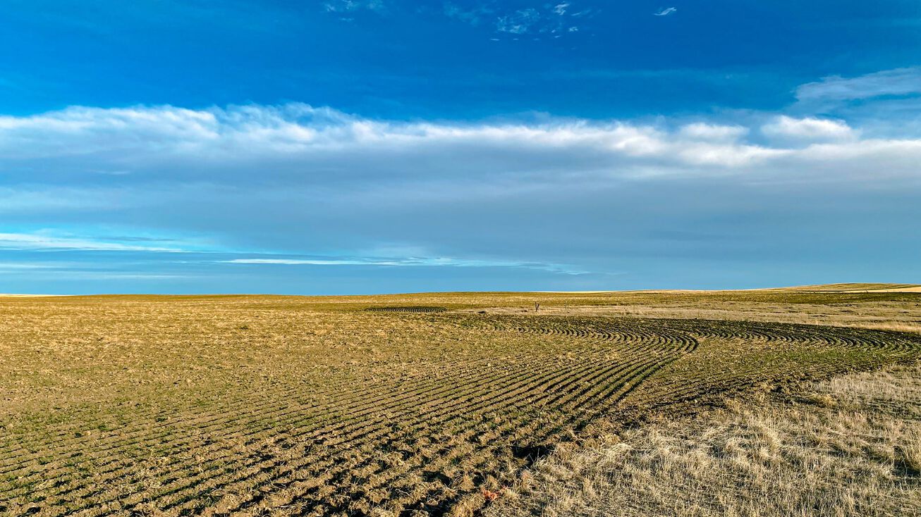 North of Savoy, Harlem, MT 59526