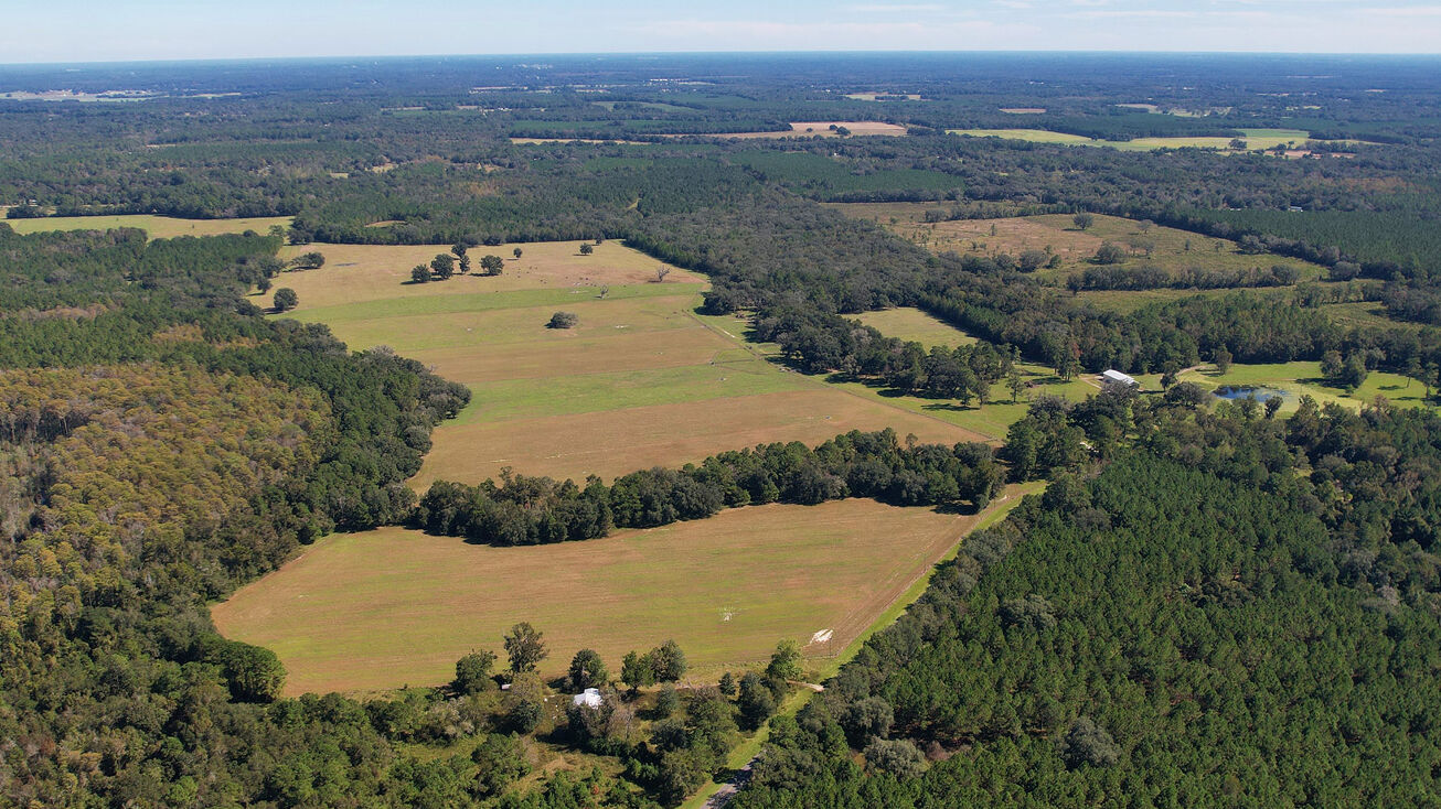 Wellborn Ranch, Wellborn, FL 32094 Land for Sale Wellborn Ranch