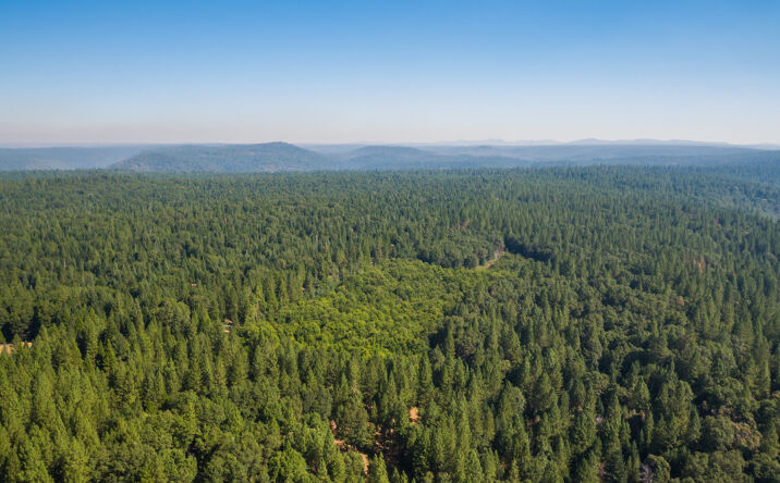 Pictures of Land property located at A1 Foresthill Road, Foresthill, CA 95631 for sales - image #1