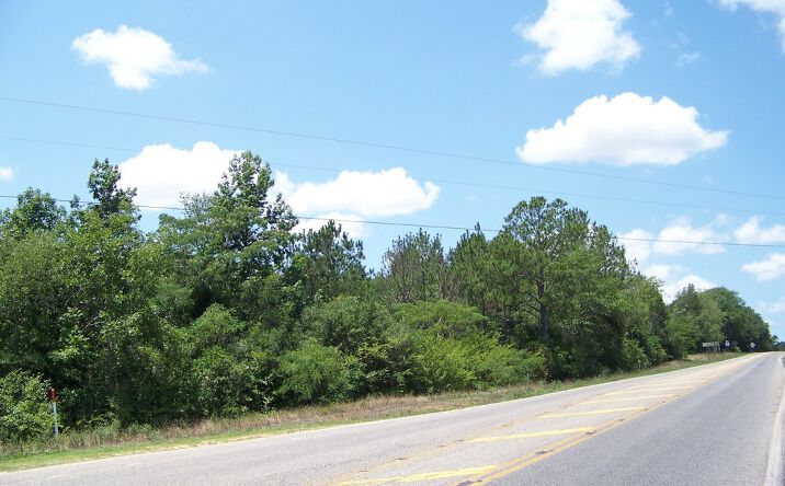 Pictures of Land property located at Boll Weevil Circle & Hwy 134, Enterprise, AL 36330 for sales - image #1