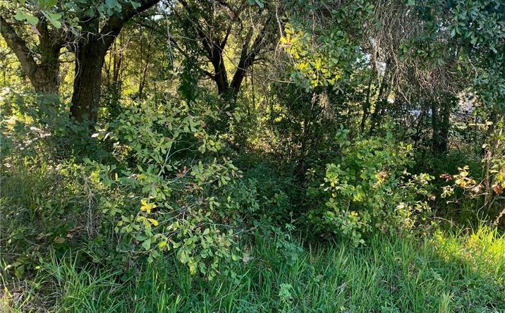 Pictures of Land property located at 0 Haig St, LAKE WALES, FL 33898 for sales - image #1