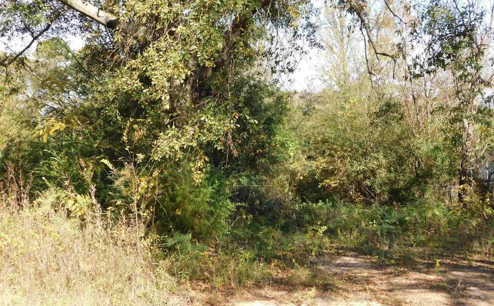 Pictures of Land property located at TBD INDUSTRIAL BLVD, Gilmer, TX 75644 for sales - image #1