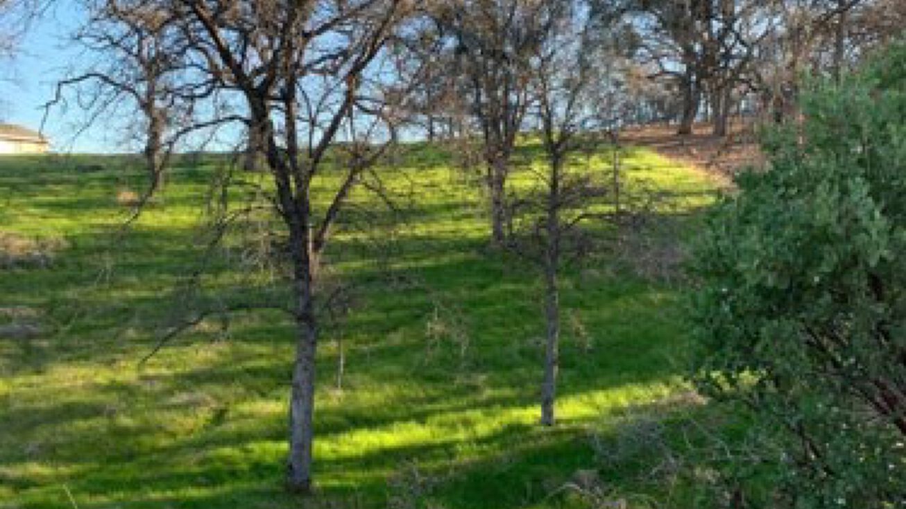 0 Cadena, Coulterville, CA 95311