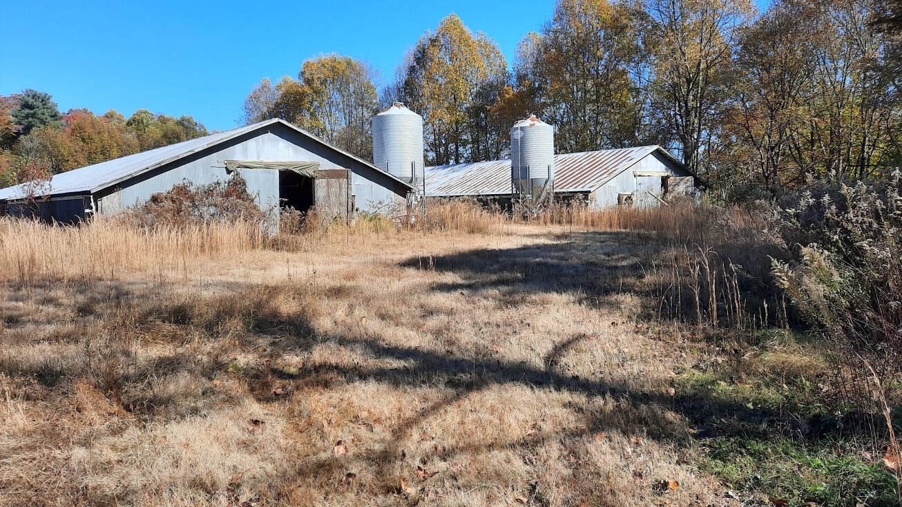 N Minton Rd, Millers Creek, NC 28651 Land for Sale Minton Road