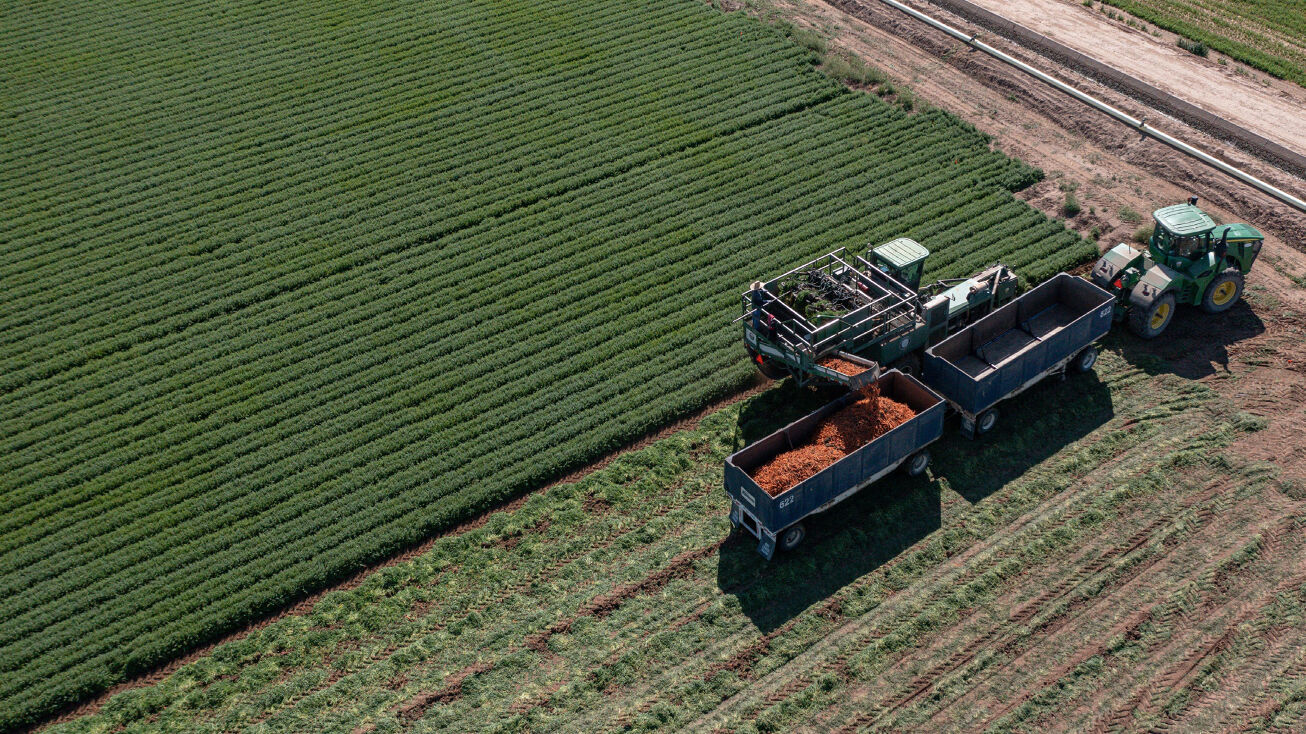 Southwest corner of Andre & Loveland Rds, Westmorland, CA 92281 Land