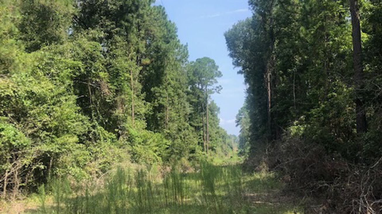 Mill Creek Rd, Statesboro, GA 30461