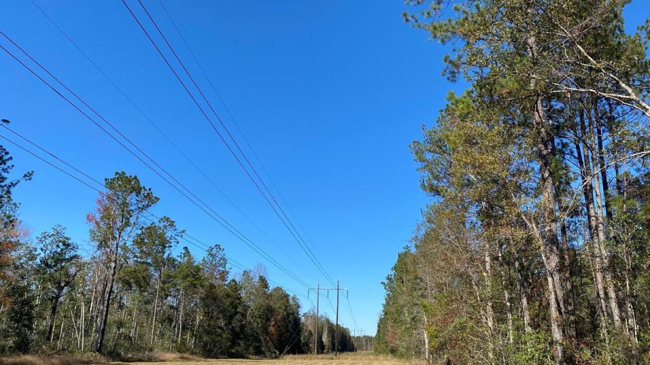 00 Washam Road, Lucedale, MS 39452