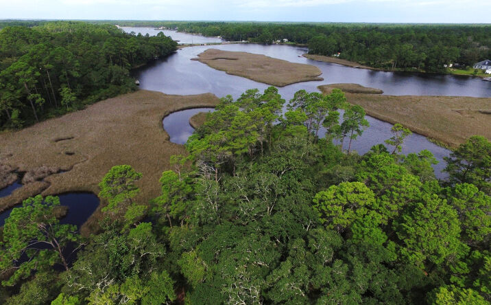 Pictures of Land property located at 1025 Hwy 2297, Panama City, FL 32404 for sales - image #1