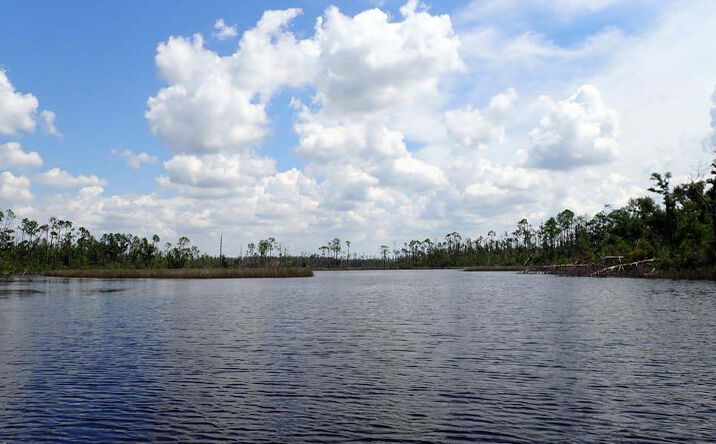 Pictures of Land property located at 1025 Hwy 2297, Panama City, FL 32404 for sales - image #1
