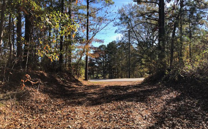 Pictures of Land property located at 3367 Co Rd 13, Helena, AL 35080 for sales - image #1