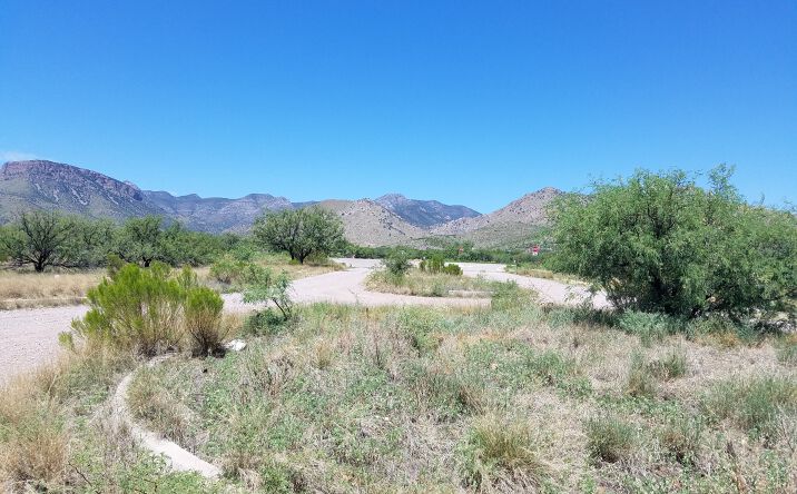 Pictures of Land property located at State Route -90 Frontage, Benson, AZ 85602 for sales - image #1