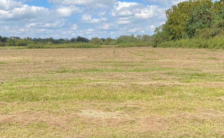 Pictures of Land property located at 1922 Williams Way Blvd, Richmond, TX 77469 for sales - image #1