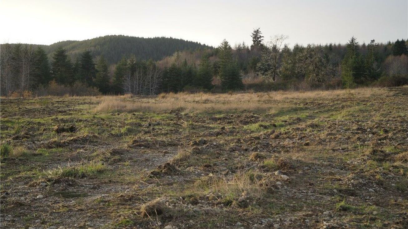 649 Middle Satsop Rd, Montesano, WA 98563