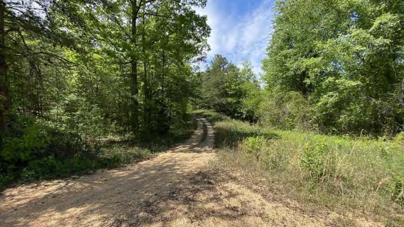 0 Ben Clements Road, Northport, AL 35475