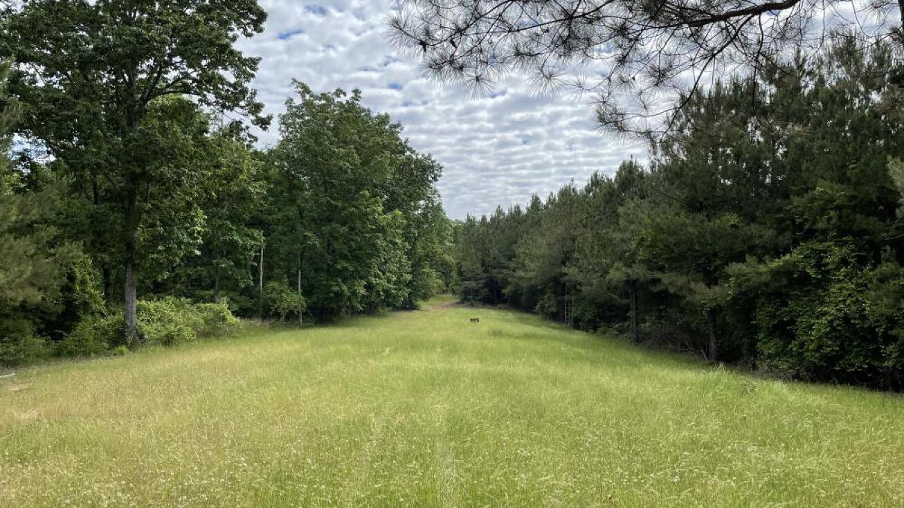 Pictures of Land property located at 0 Tabernacle Road, Buhl, AL 35446 for sales image 1