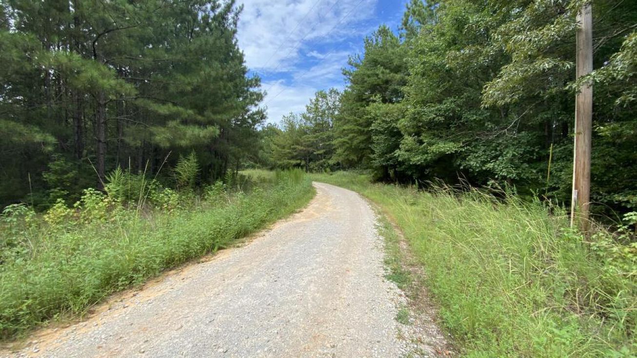 0 Paul Duncan Road, Cottondale, AL 35453