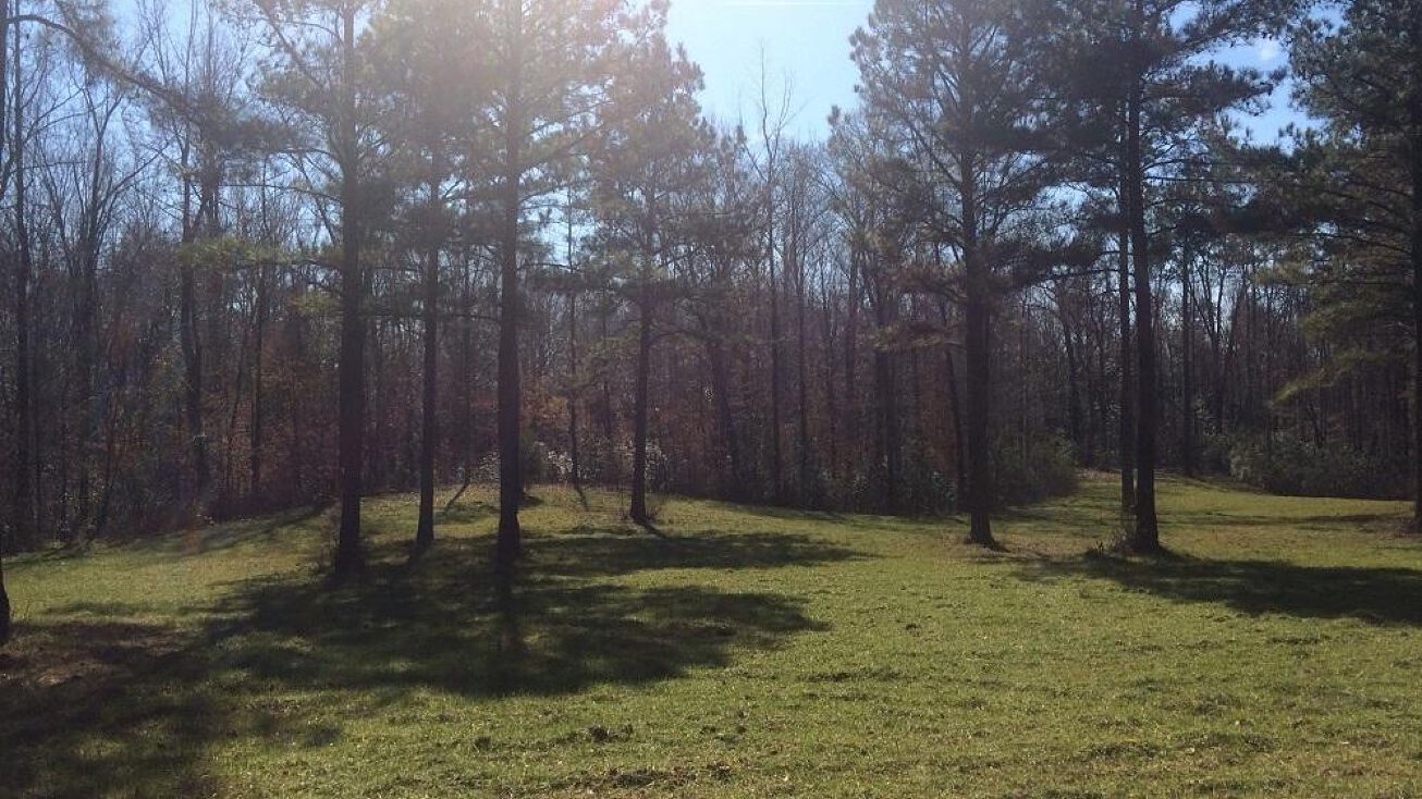 0 Wildwood Road, Fayette, AL 35555 Land for Sale Sipsey Bottom