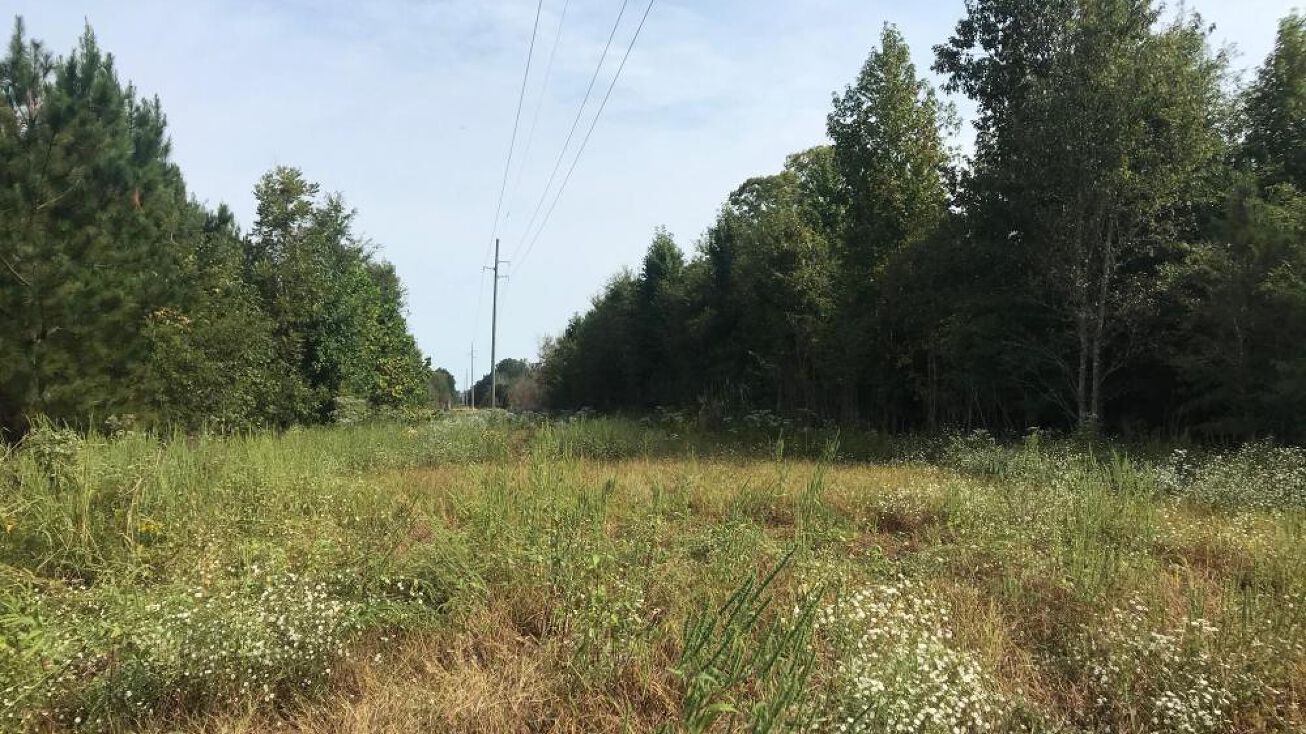 0 Savage St, Millport, AL 35576