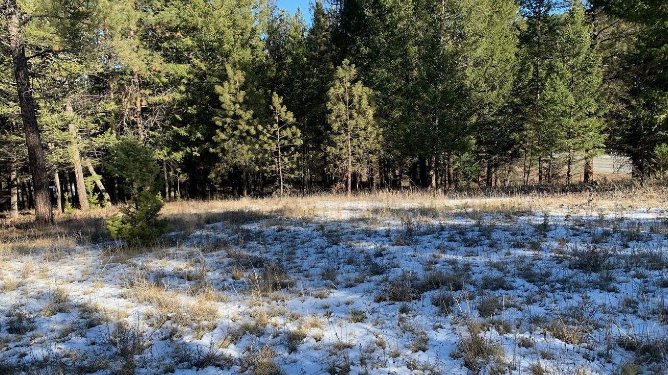 80 Pine Cone Lane, Rexford, MT 59930 Land for Sale 80 Pine Cone Lane