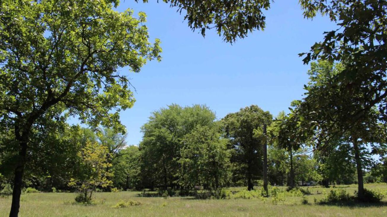 19202 Keenan Cut Off Rd, Montgomery, TX 77316