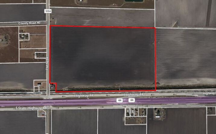 Pictures of Land property located at State Highway 44 at FM 1694, Robstown, TX 78380 for sales - image #1