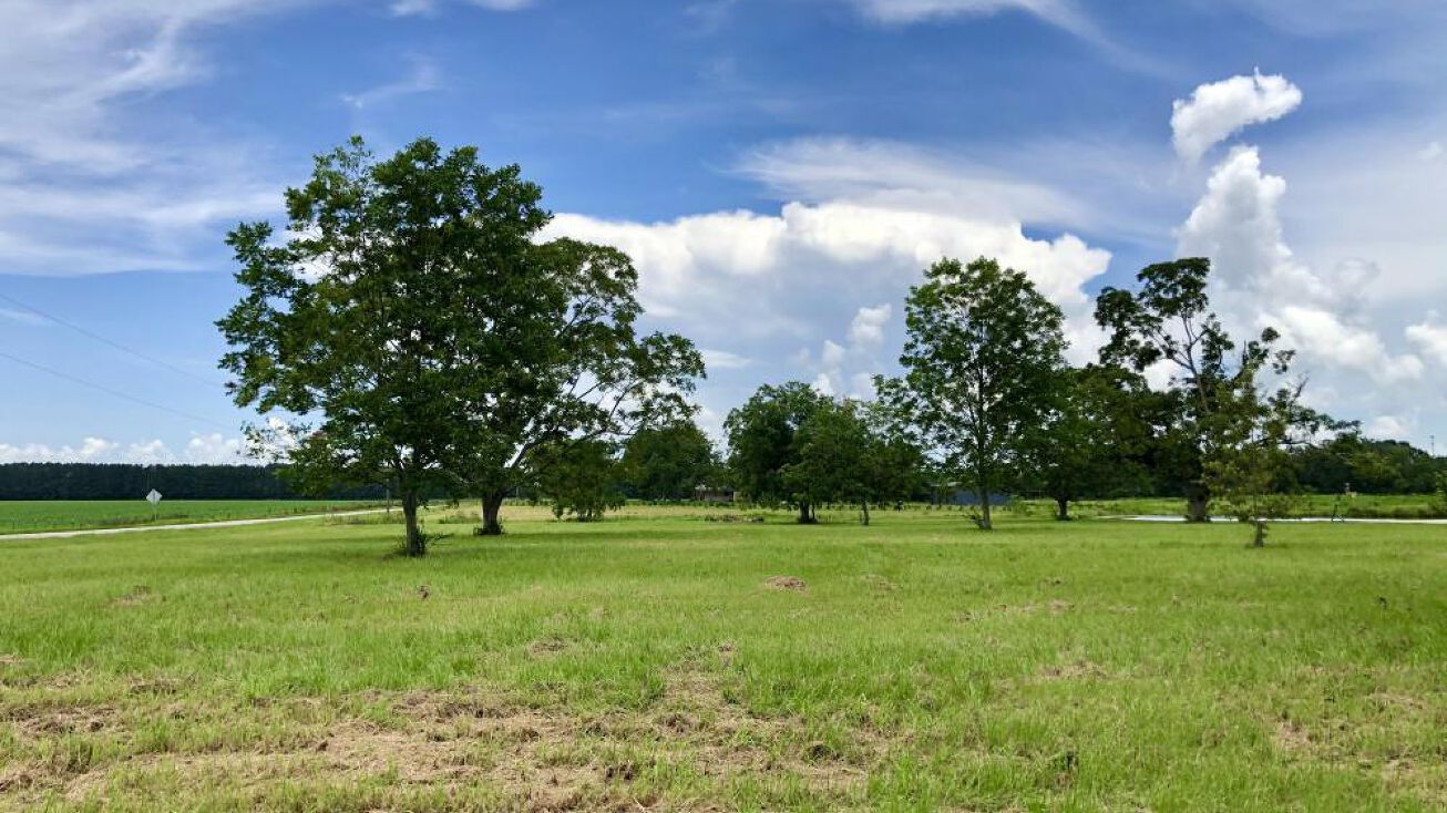 0 Grand Bay Wilmer Rd S Lot 9, Grand Bay, AL 36541