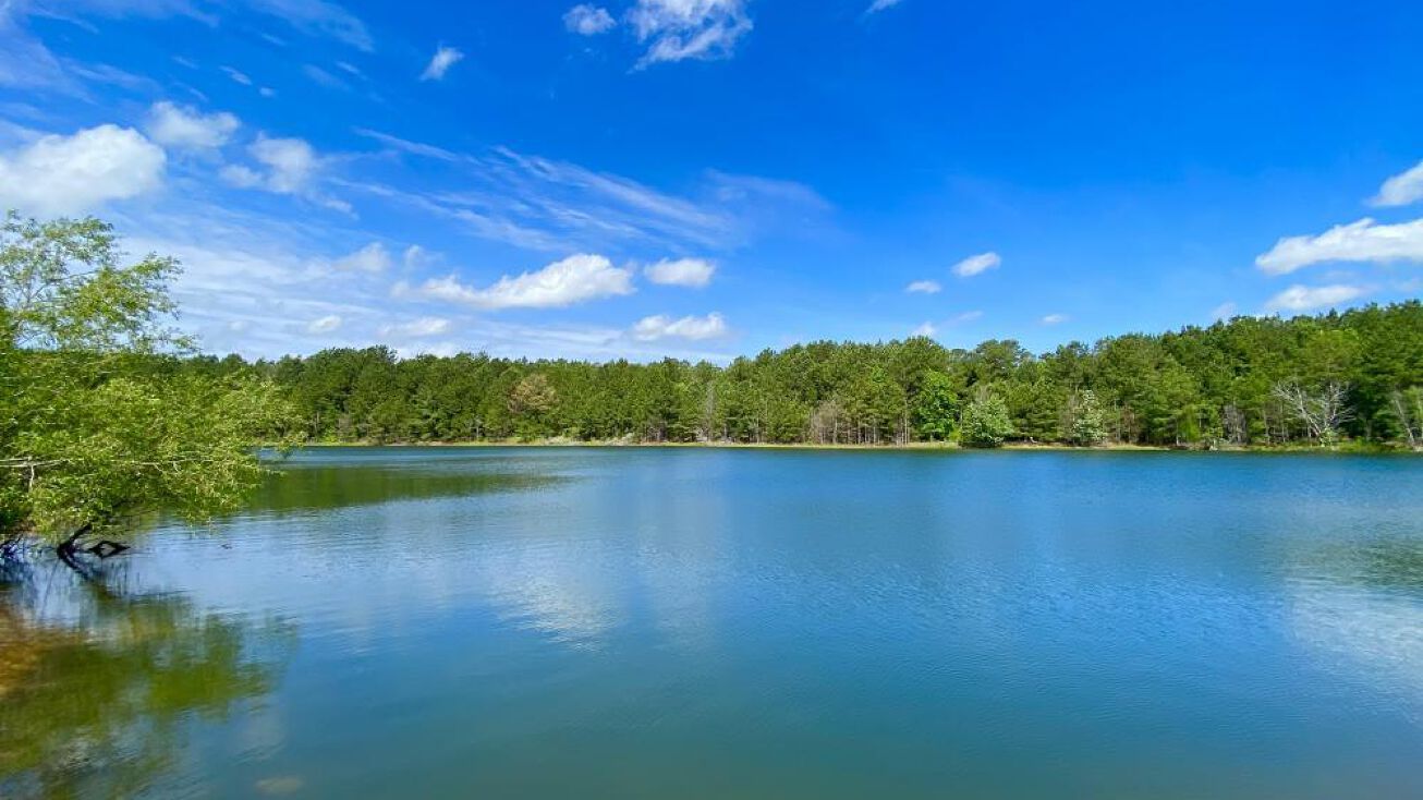 0 Turners Riverfront Road, Aliceville, AL 35442