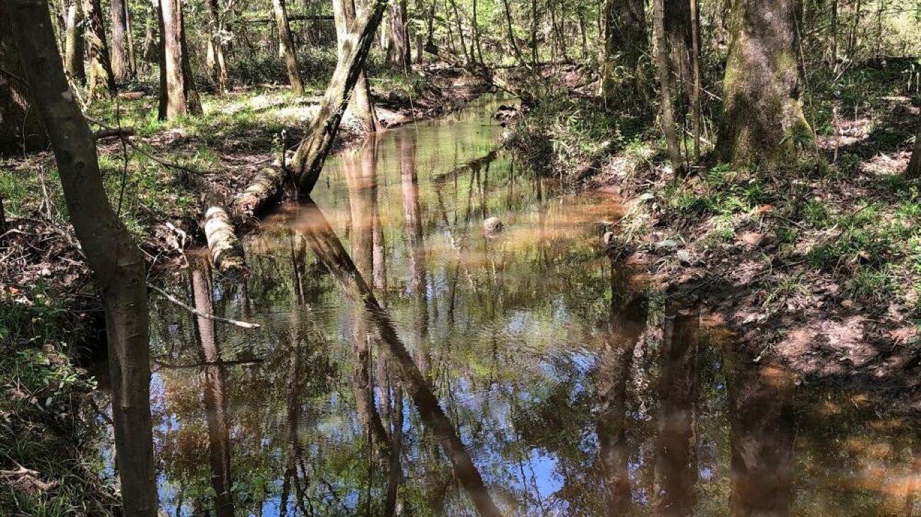 3500 County Rd., Burnt Corn, AL 36401