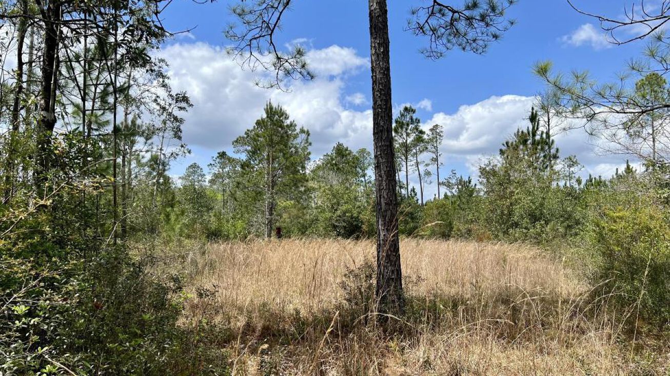 0 Doc Alford Road, Brewton, AL 36426 Land for Sale 0 Doc Alford Road