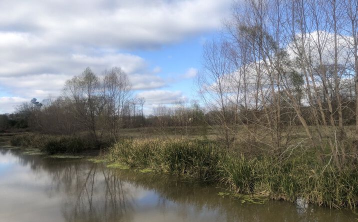 Pictures of Land property located at 13861 Calle Sevario St, Prairieville, LA 70769 for sales - image #1