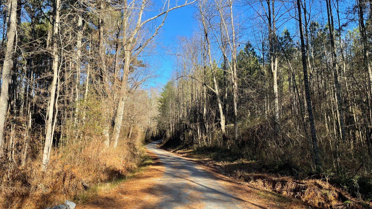 Crane Rd, Dawsonville, GA 30534 Land for Sale Dawson County Acreage