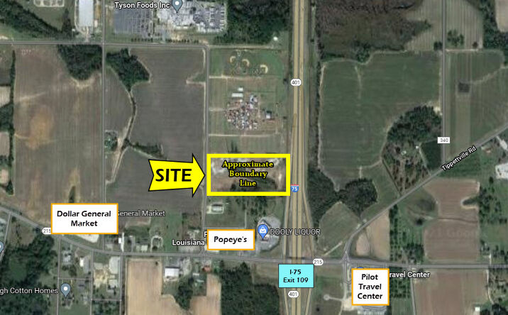 Pictures of Land property located at 250 Pig Jig Blvd, Vienna, GA 31092 for sales - image #1