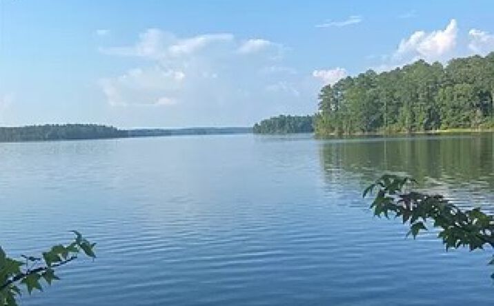 Pictures of Land property located at 1050 Fleming Lake, Lincolnton, GA 30817 for sales - image #1