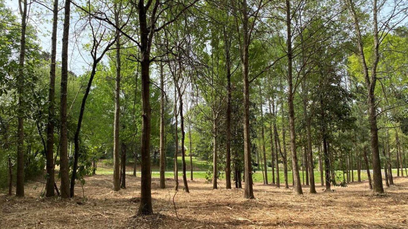 393 Owens Store Rd, Canton, GA 30115