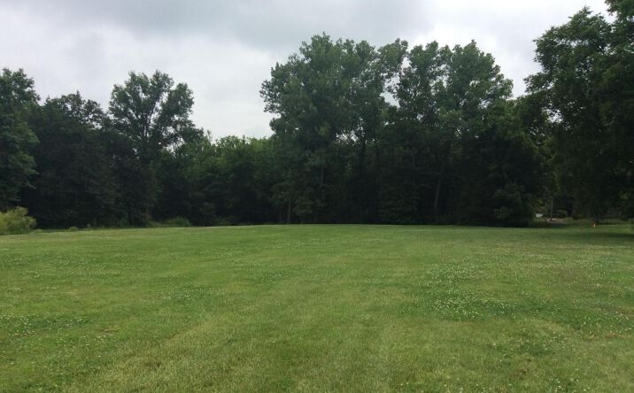 Pictures of Land property located at 2603 Veterans Memorial Dr, Mt Vernon, IL 62864 for sales - image #1