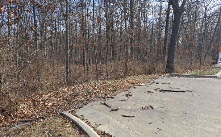 Pictures of Land property located at 0000 N 27TH Street, Mt Vernon, IL 62864 for sales - image #1