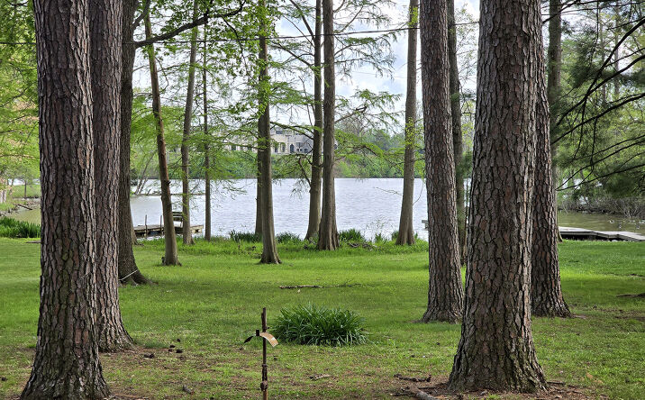 Pictures of Land, Special Purpose property located at 1831 Duck Lane, Centralia, IL 62801 for sales - image #1