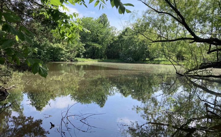 Pictures of Land property located at Parrish Ridge Lane, Goreville, IL 62939 for sales - image #1