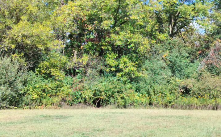 Pictures of Land property located at 106 JOSEPH Court, Washington, IL 61571 for sales - image #1