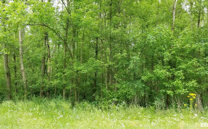 image of property at S HUTCHINS CREEK RD Alto Pass IL 62905