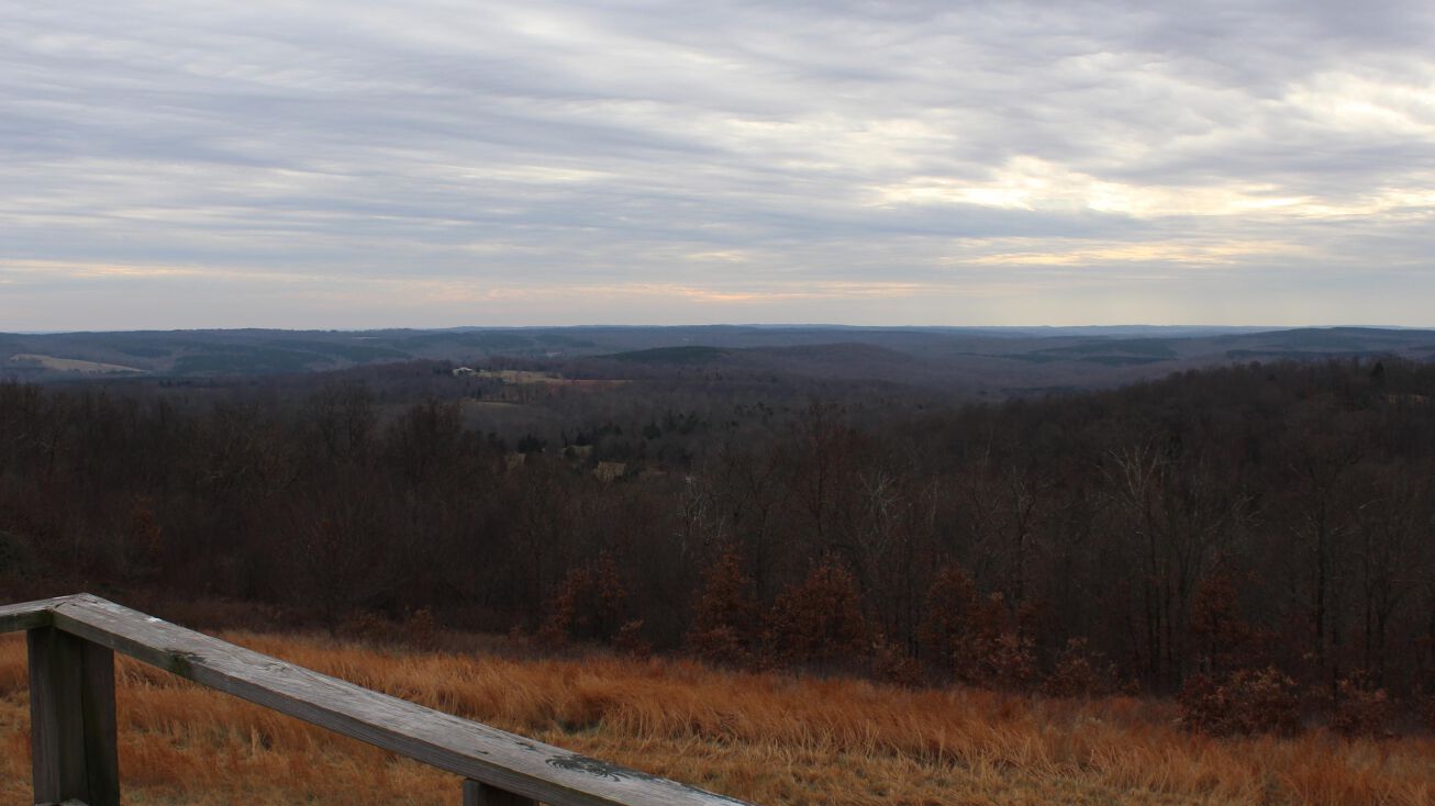 0000 Bruce Johnson Road, Herod, IL 62947