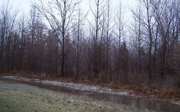 Pictures of Land property located at ADAMS Drive, Marion, IL 62959 for sales - image #1