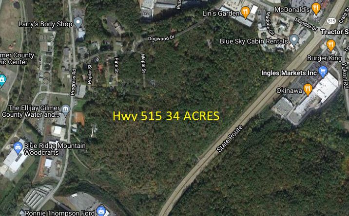 Pictures of Land property located at 30539 GA-515, East Ellijay, GA 30539 for sales - image #1